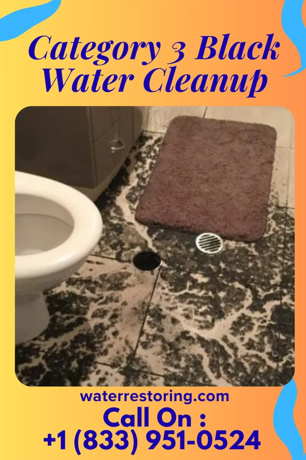 Category 3 Black Water Cleanup in Sylvania, AL